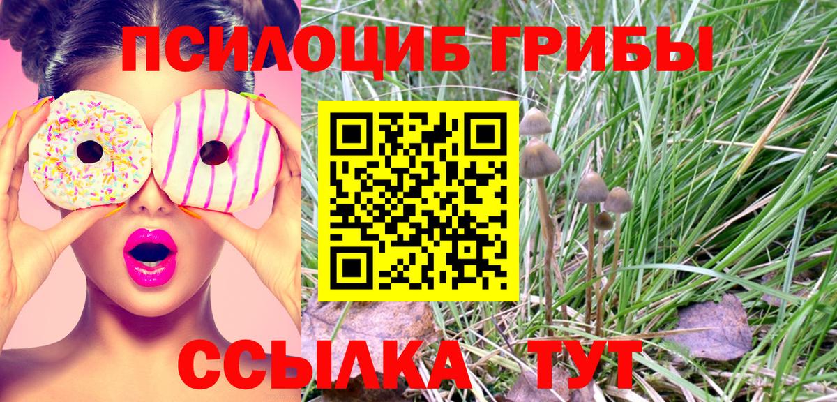 наркошоп  Галлюциногенные грибы мухоморы  Чайковский  Вход с VPN  Галлюциногенные грибы Cubensis 