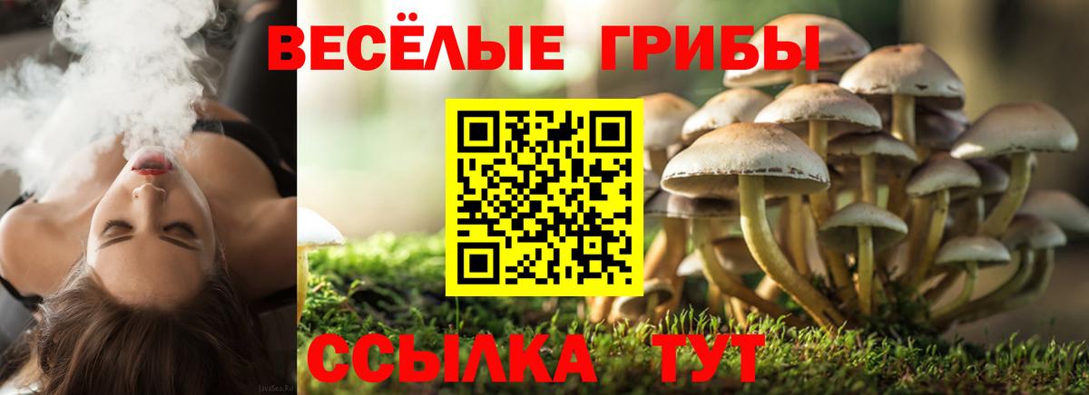 Псилоцибиновые грибы MAGIC MUSHROOMS Чайковский